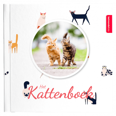 Het Kattenboek